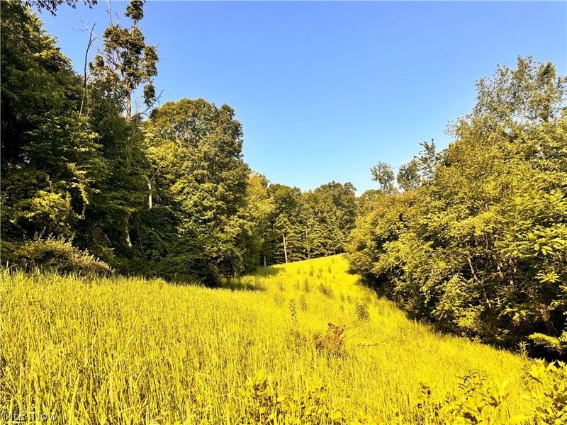91695 Harrison Road, Scio, OH 43988 Photo 30