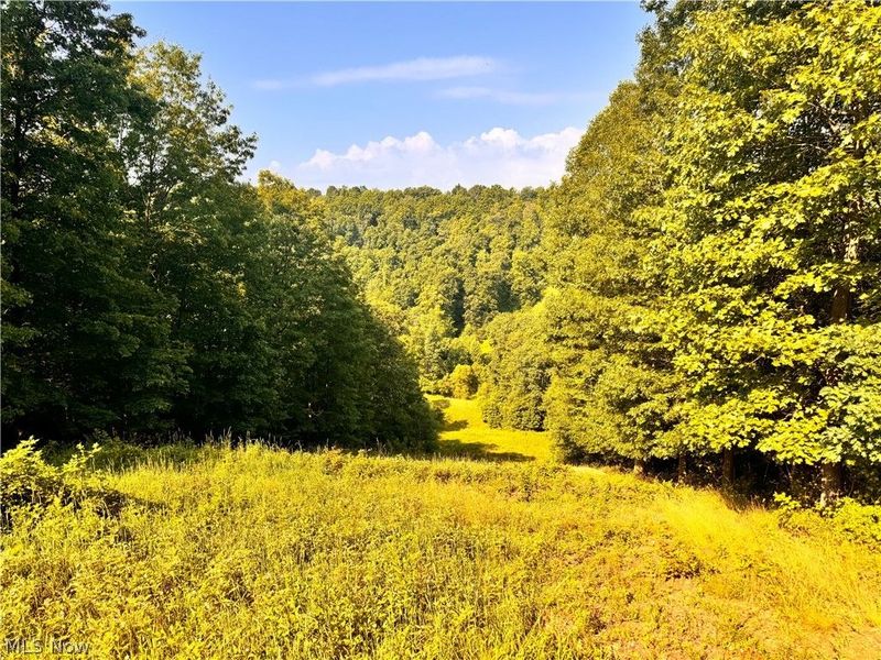 91695 Harrison Road, Scio, OH 43988 Photo 32