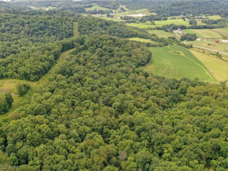 91695 Harrison Road, Scio, OH 43988 Photo 6