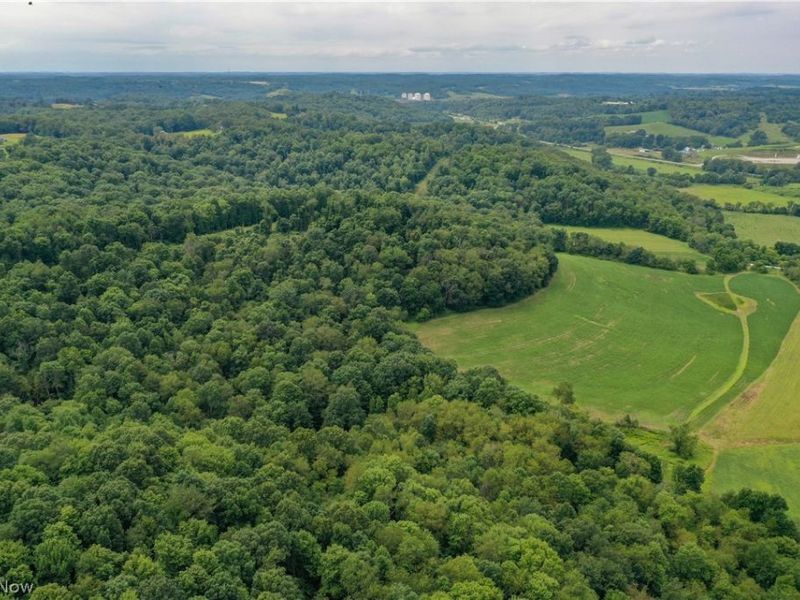 91695 Harrison Road, Scio, OH 43988 Photo 7