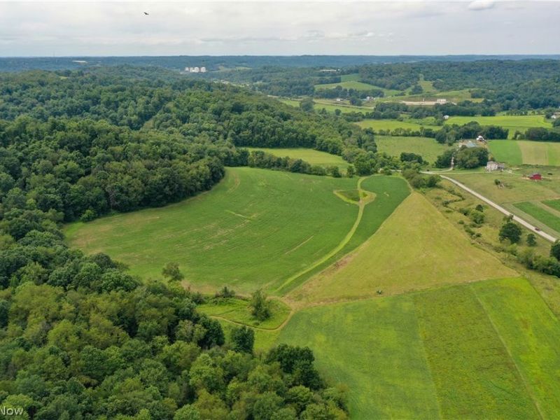 91695 Harrison Road, Scio, OH 43988 Photo 8