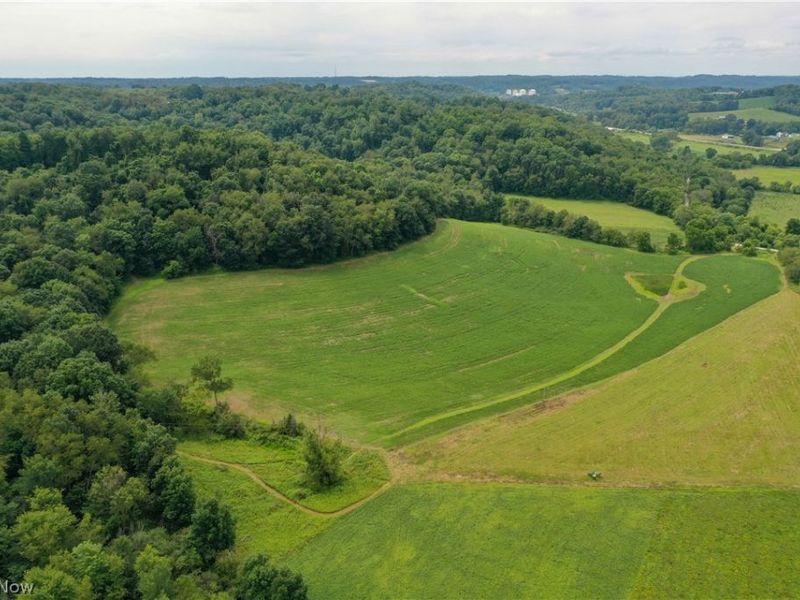 91695 Harrison Road, Scio, OH 43988 Photo 9