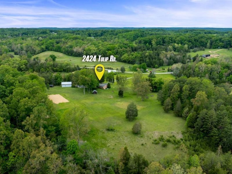 2424 Tulip Road, Lynx, OH 45650 Photo 26