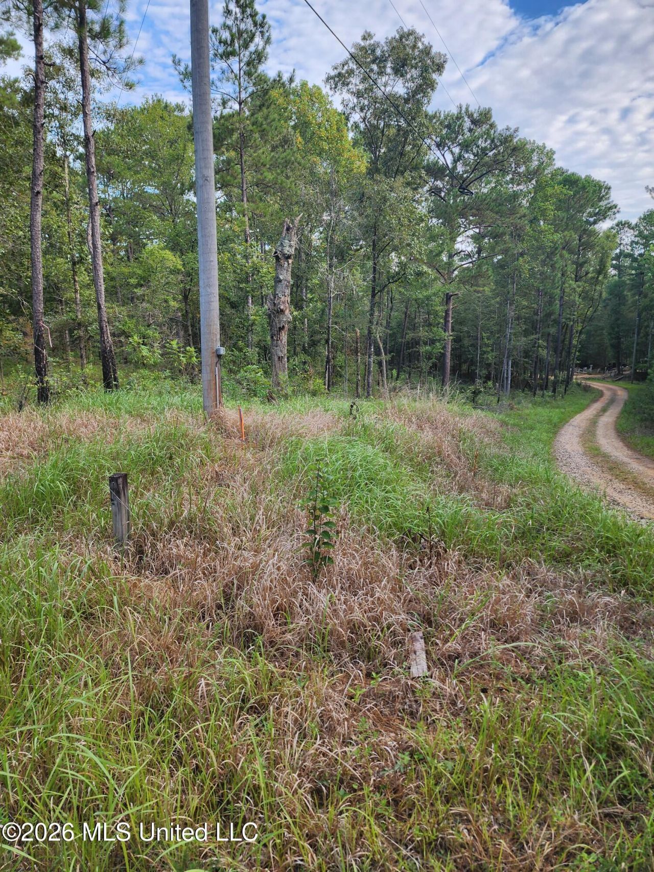 Dogwood Lane, Poplarville, MS 39470 Main Photo