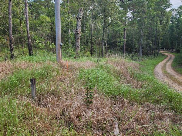 Dogwood Lane, Poplarville, MS 39470