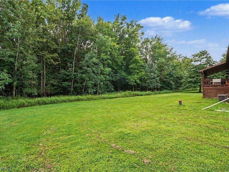 6092 Warren Road, Cortland, OH 44410 Photo 30