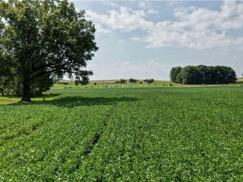 Goudy Road , Orrville, OH 44667 Photo 14