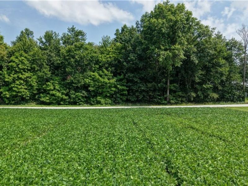 Goudy Road , Orrville, OH 44667 Photo 15