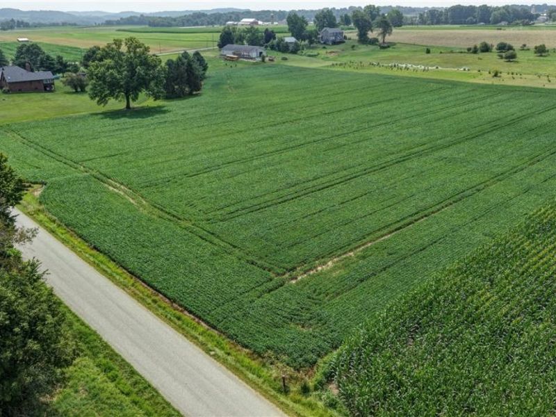 Goudy Road , Orrville, OH 44667 Photo 16
