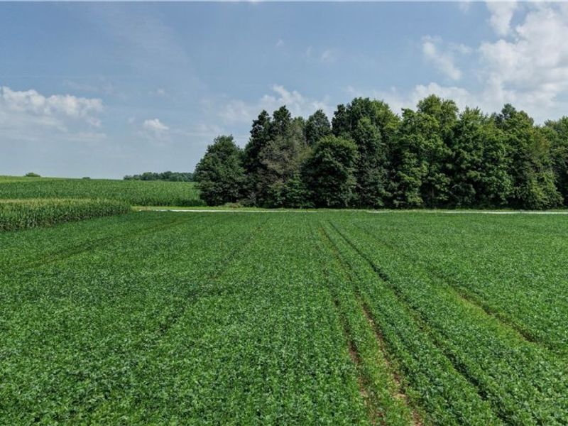 Goudy Road , Orrville, OH 44667 Photo 18