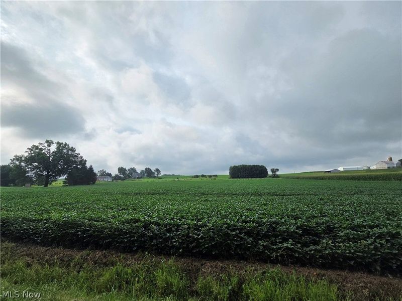 Goudy Road , Orrville, OH 44667 Photo 19