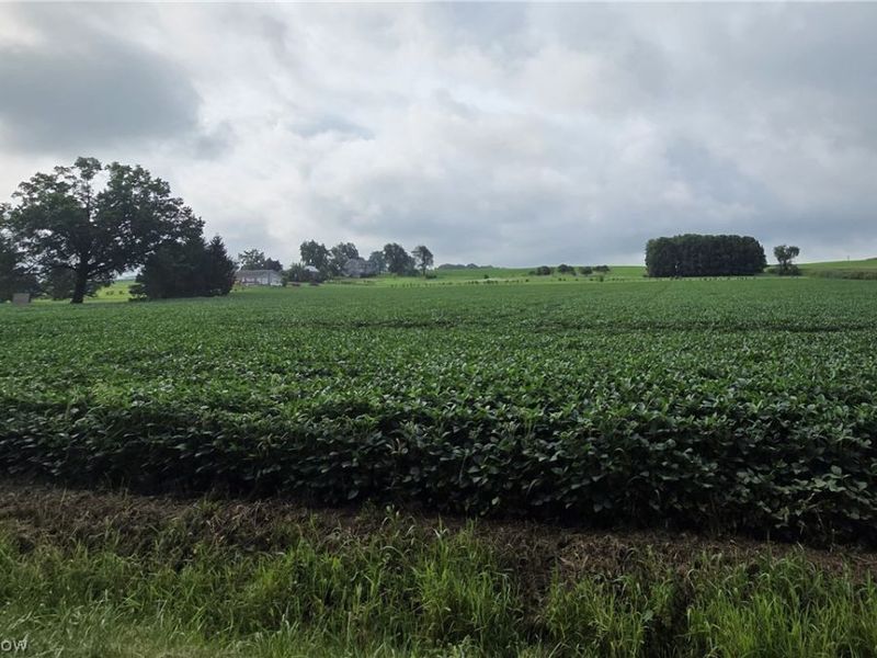 Goudy Road , Orrville, OH 44667 Photo 2