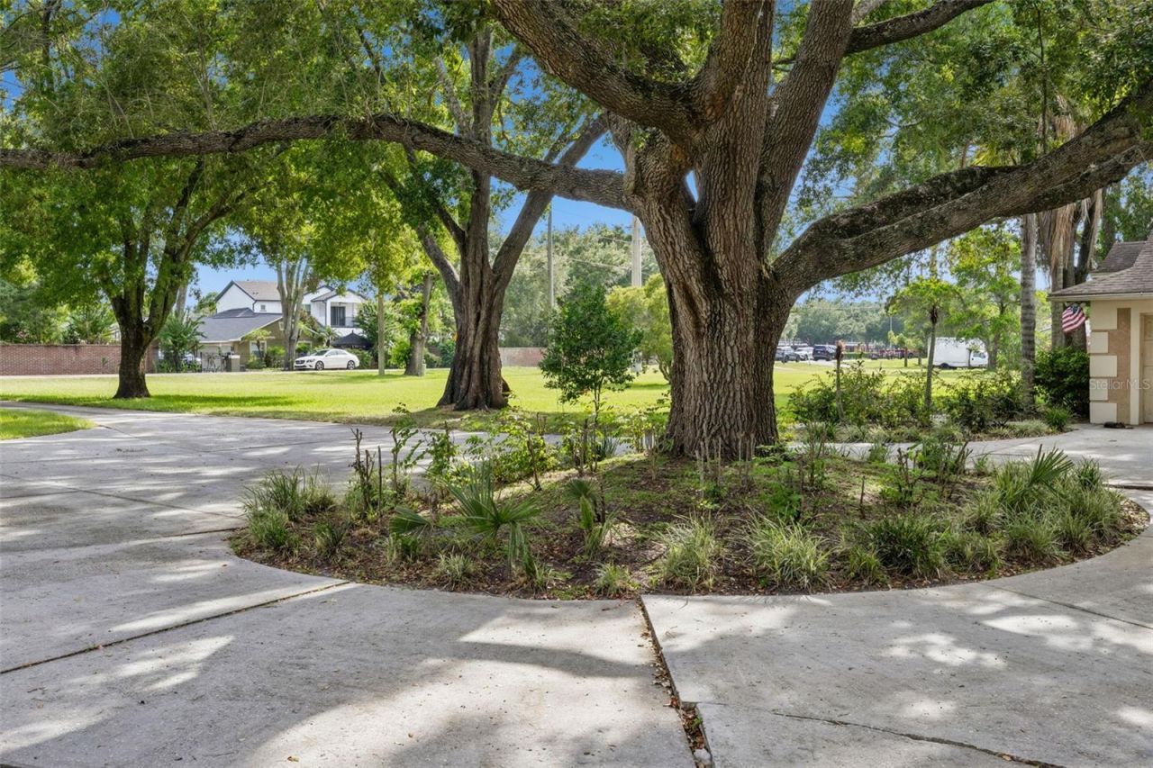 10603 Moore Road , Gotha, FL 34734 Photo