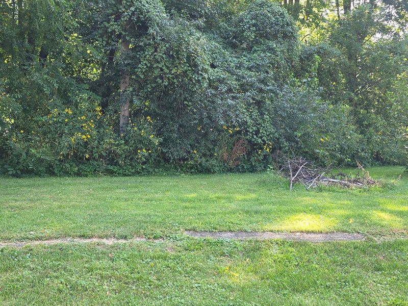 2617 County Road 59, Edison, OH 43320 Photo 23