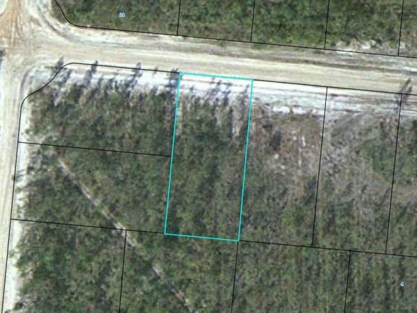 LOT 12 Satilla Plantation, Waynesville, GA 31566
