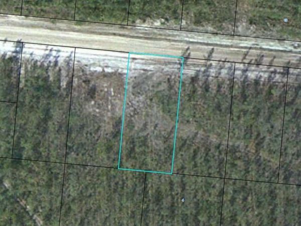 LOT 14 Satilla Plantation, Waynesville, GA 31566