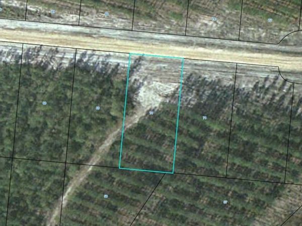LOT 70 Satilla Plantation, Waynesville, GA 31566