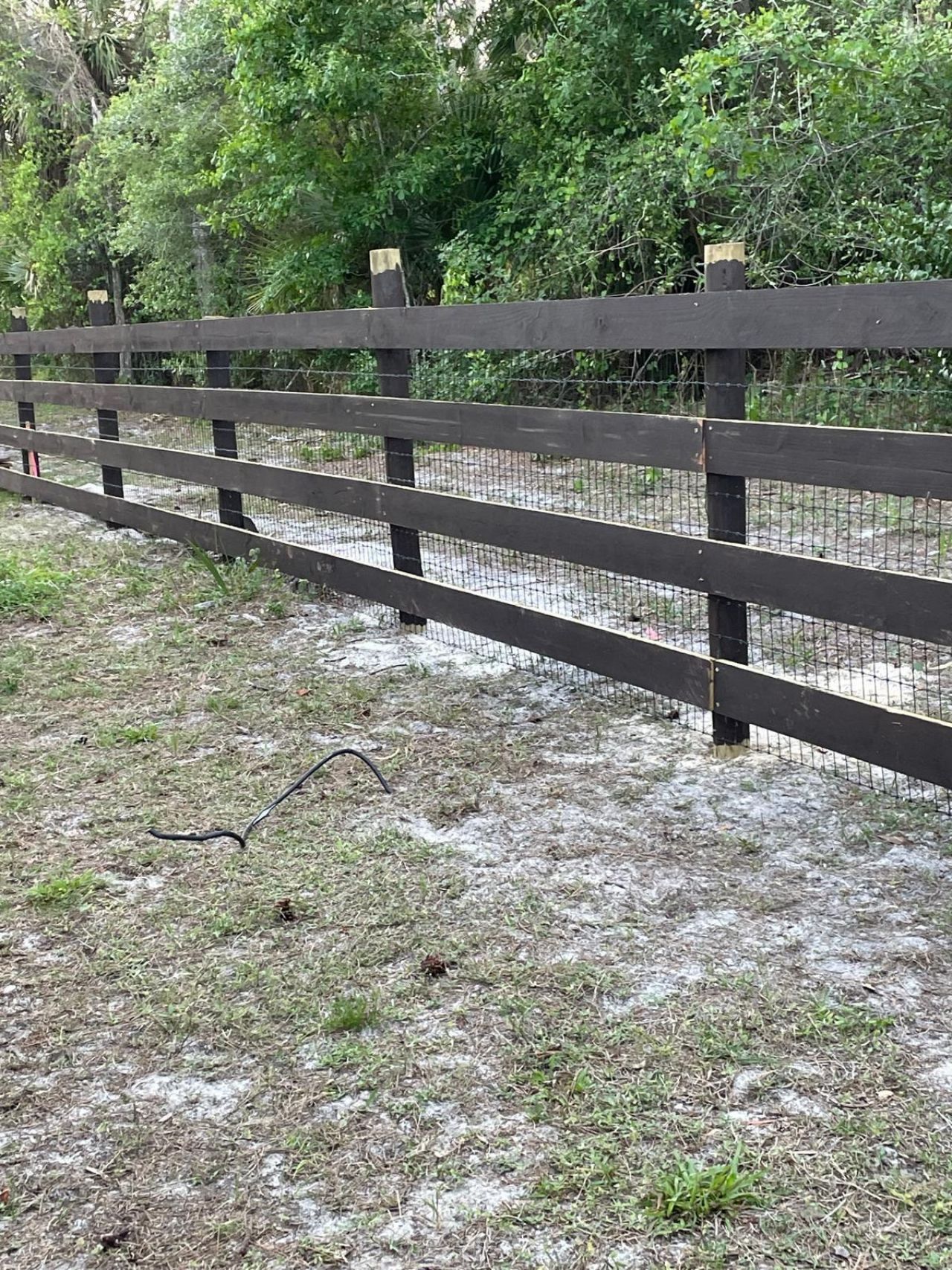 1030 Stallion Drive W, The Acreage, FL 33470 Photo