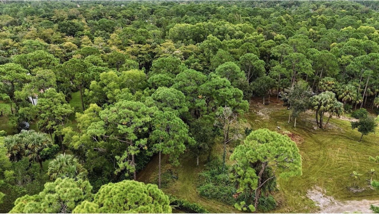 Xxx Stallion Drive W, The Acreage, FL 33470 Photo