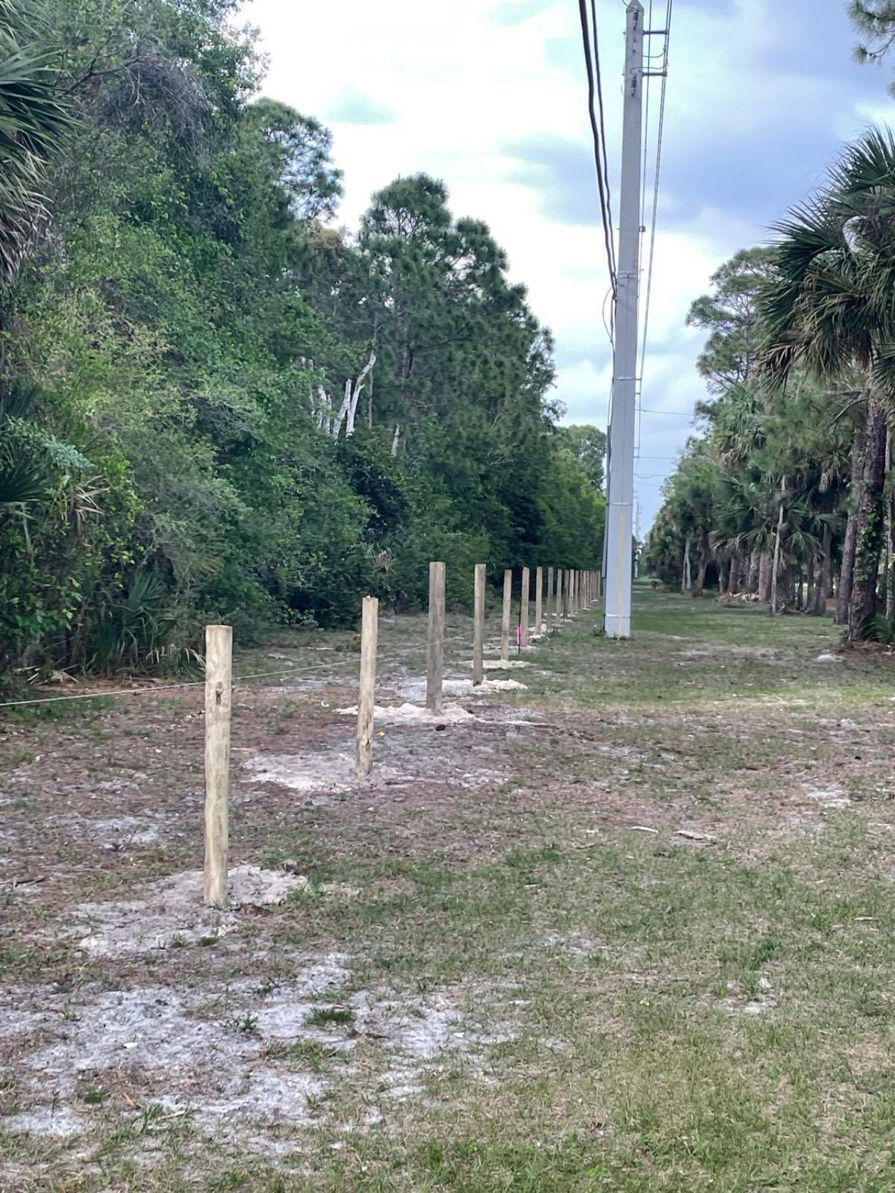 1030 Stallion Drive W, The Acreage, FL 33470 Photo