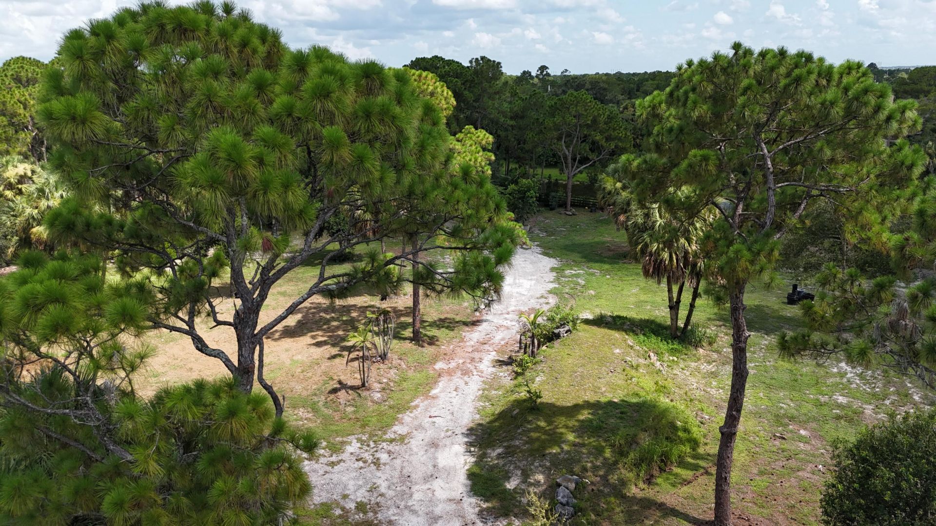 1030 Stallion Drive W, The Acreage, FL 33470 Photo