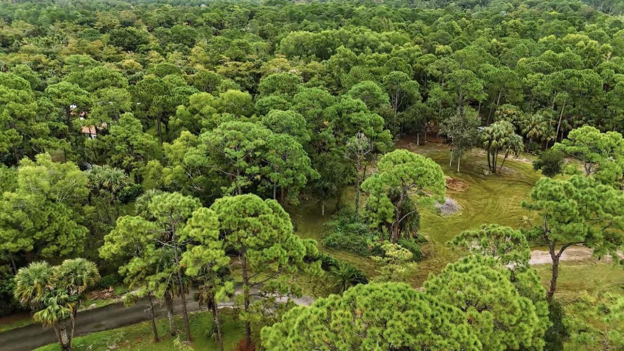 Xxx Stallion Drive W, The Acreage, FL 33470 Photo