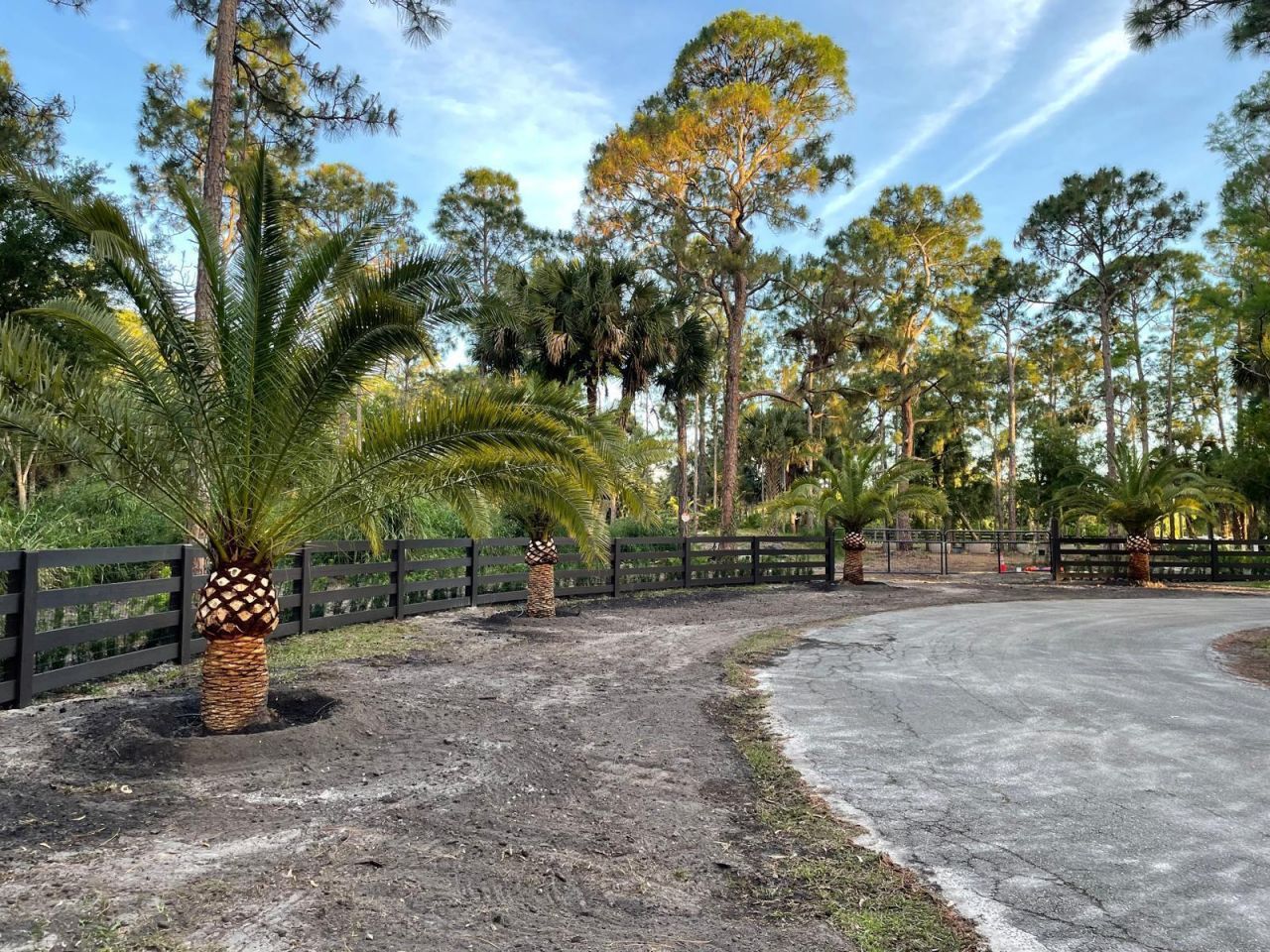 1030 Stallion Drive W, The Acreage, FL 33470 Photo