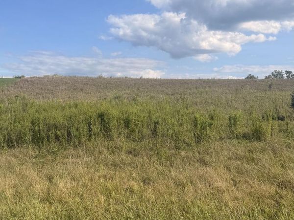 LOT #2 ECKROTH Road, Bloomsburg, PA 17815