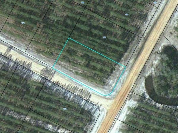 LOT 172 Satilla Plantation, Waynesville, GA 31566