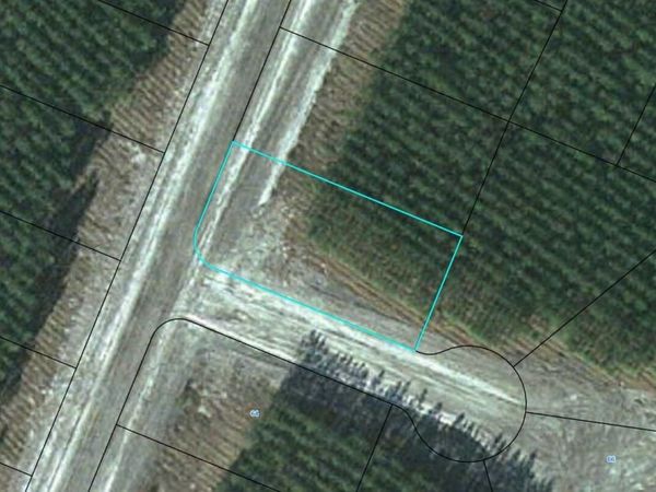 LOT 69 Eagles Crest, Waynesville, GA 31566