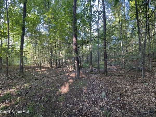 Tbd Hidden Court, Mt. Tremper, NY 12457