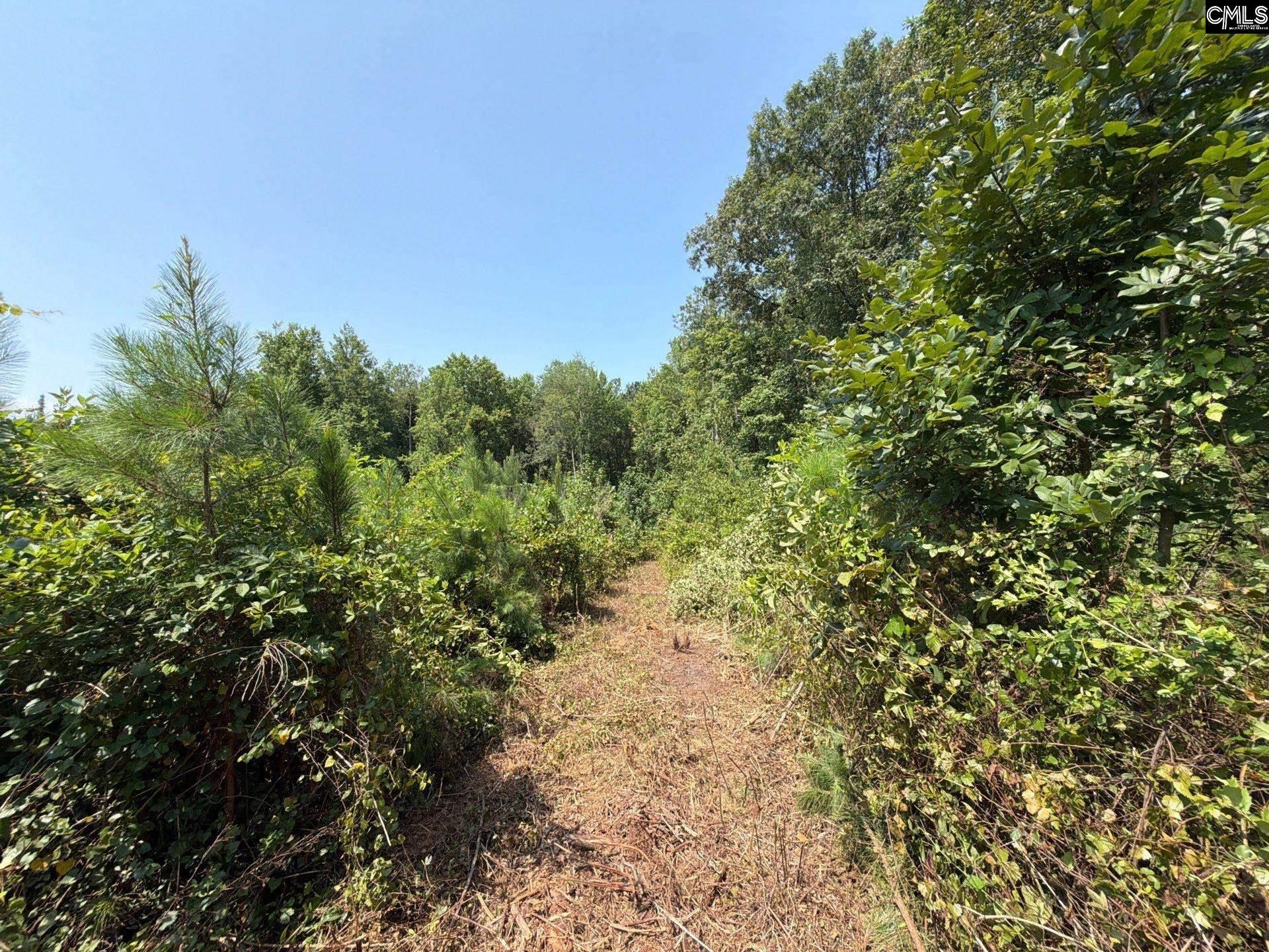 Btf 2 Bradley Trail Photo 9