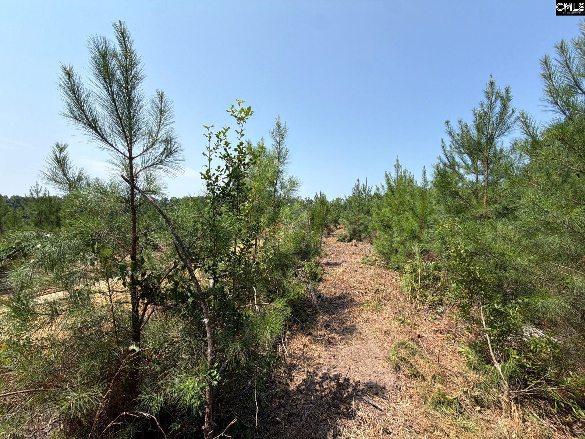 Btf 2 Bradley Trail Photo 11