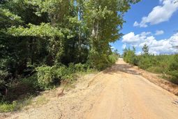 Btf 2 Bradley Trail photo 4