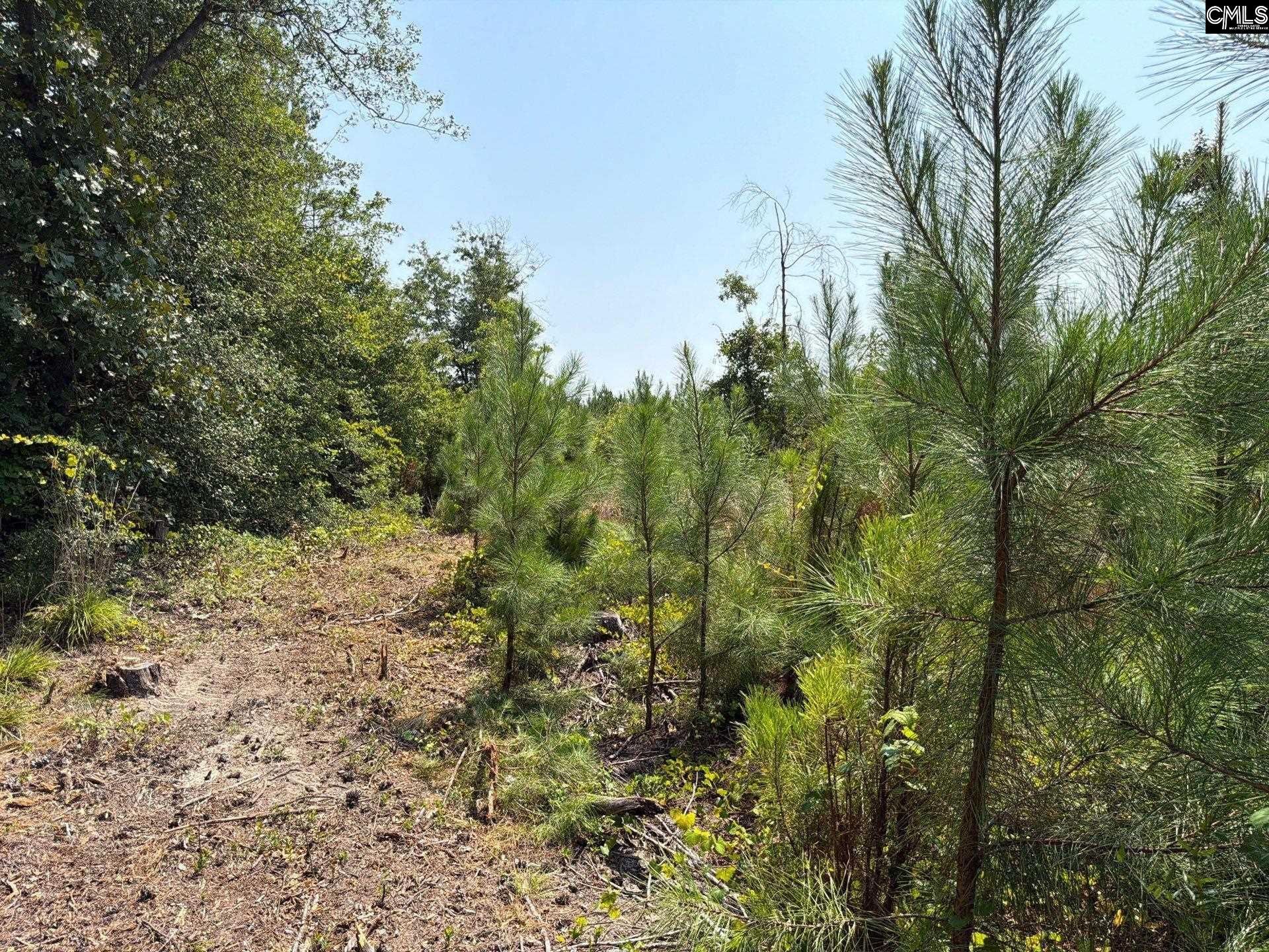 Btf 2 Bradley Trail Photo 5