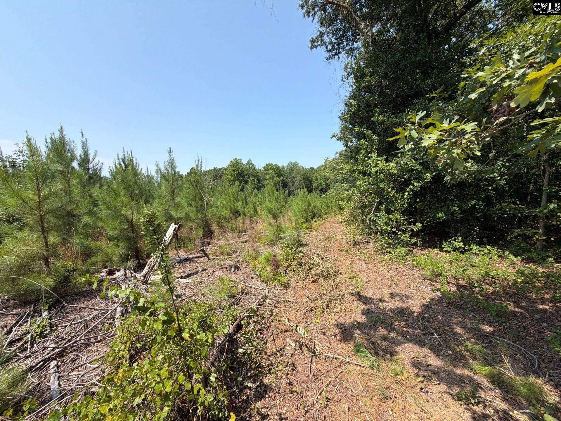 Btf 2 Bradley Trail Photo 8