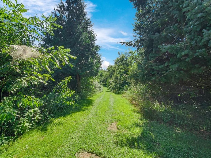 Property Image 27