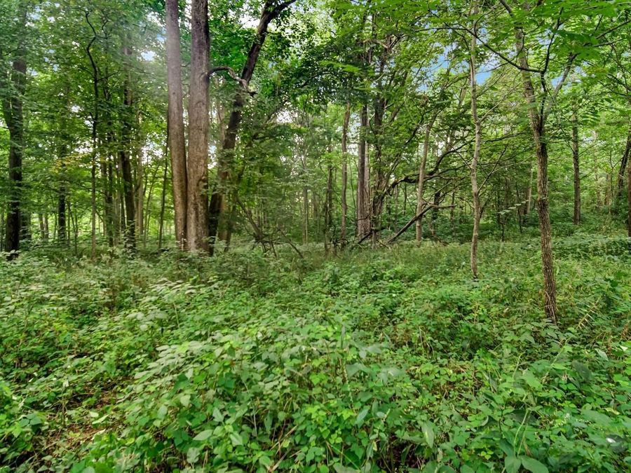 Property Image 35