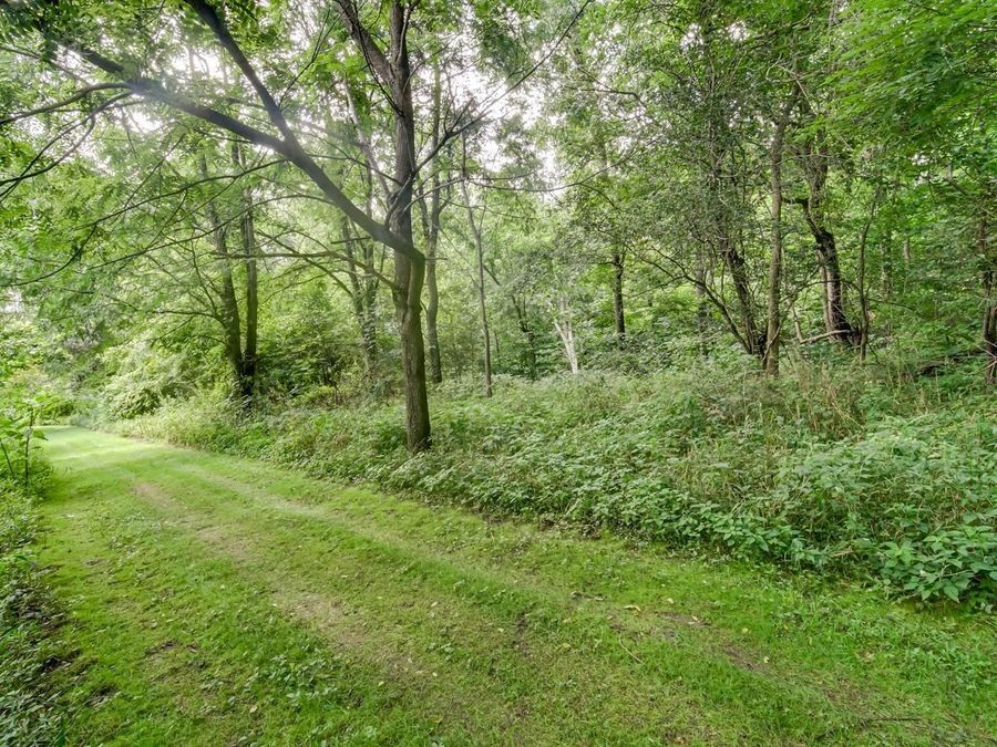 Property Image 47