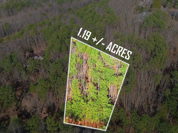 765 Plum Lane, Unit LOT 765, Clarkesville, GA 30523