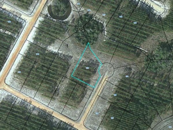 LOT 133 Satilla Plantation, Waynesville, GA 31566