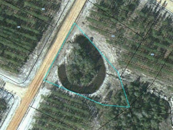 LOT 143 Satilla Plantation, Waynesville, GA 31566