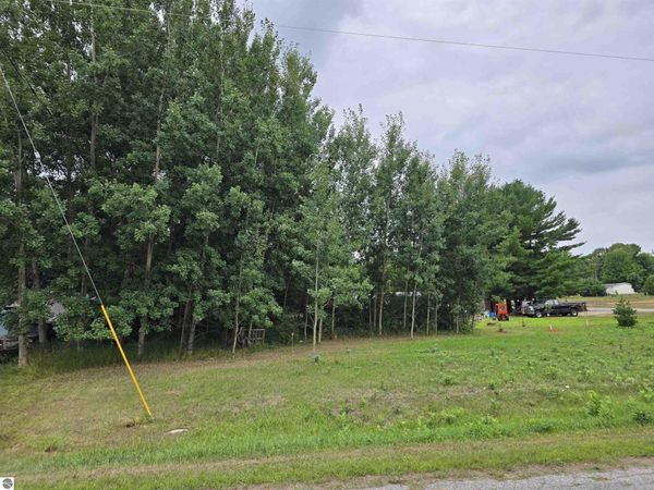 8th Street, Bear Lake, MI 49614