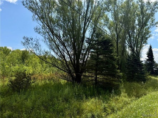 9259 Carpenter Road , Eden, NY 14057
