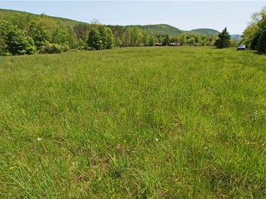John Shultis Road, Roxbury, NY 12474