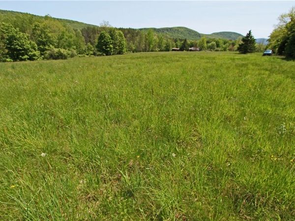 John Shultis Rd , Roxbury, NY 12474