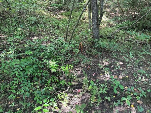 5, 10 Riverview Dr and Pine Trail, Dahlonega, GA 30533
