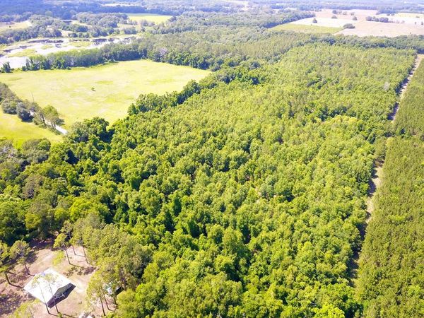 SE Wimberley Cir, Mayo, FL 32066