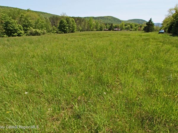 00 John Shultis Road, Roxbury, NY 12474