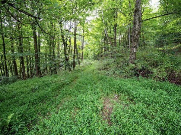 Lot 1 Buck Lick Road, Terra Alta, WV 26764